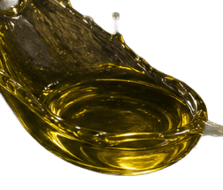 Cold-Pressed Olive Oil
